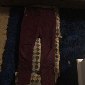 Pants used gently no rips